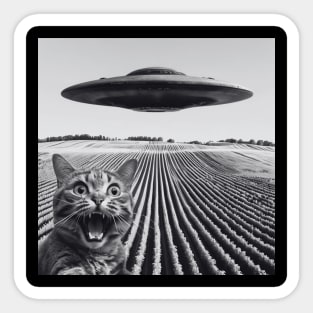 Cat Taking A Selfie With The UFO Sticker